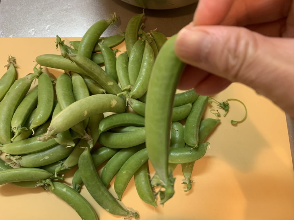 野菜ひとつ スナップえんどうのごま和え 週末の作り置きレシピ