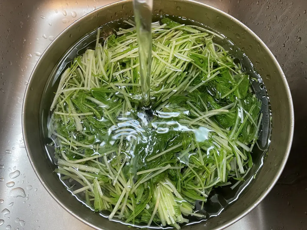 水菜